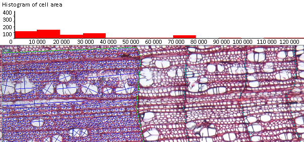 cell analysis, wood cell, WinCELL, XLCell